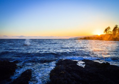 Pt Renfrew A (117).jpg