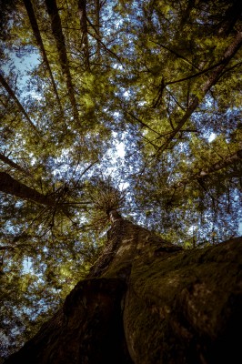 Pt Renfrew B (63).jpg