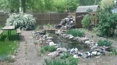 IMG_20140511_150015_431.jpg (1.74 MiB) Viewed 6209 times IMG_20140511_150015_431.jpg